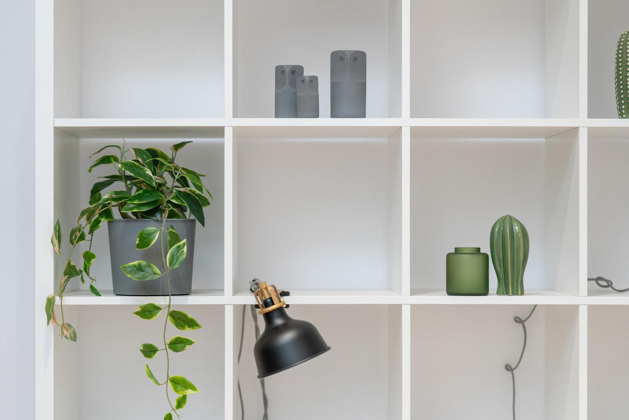 Apartment Cozy With Balcony And Free Garage By Renters *